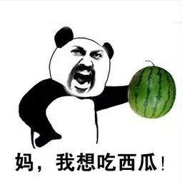 吃瓜时刻,吃瓜时刻背后的真相与八卦  第2张